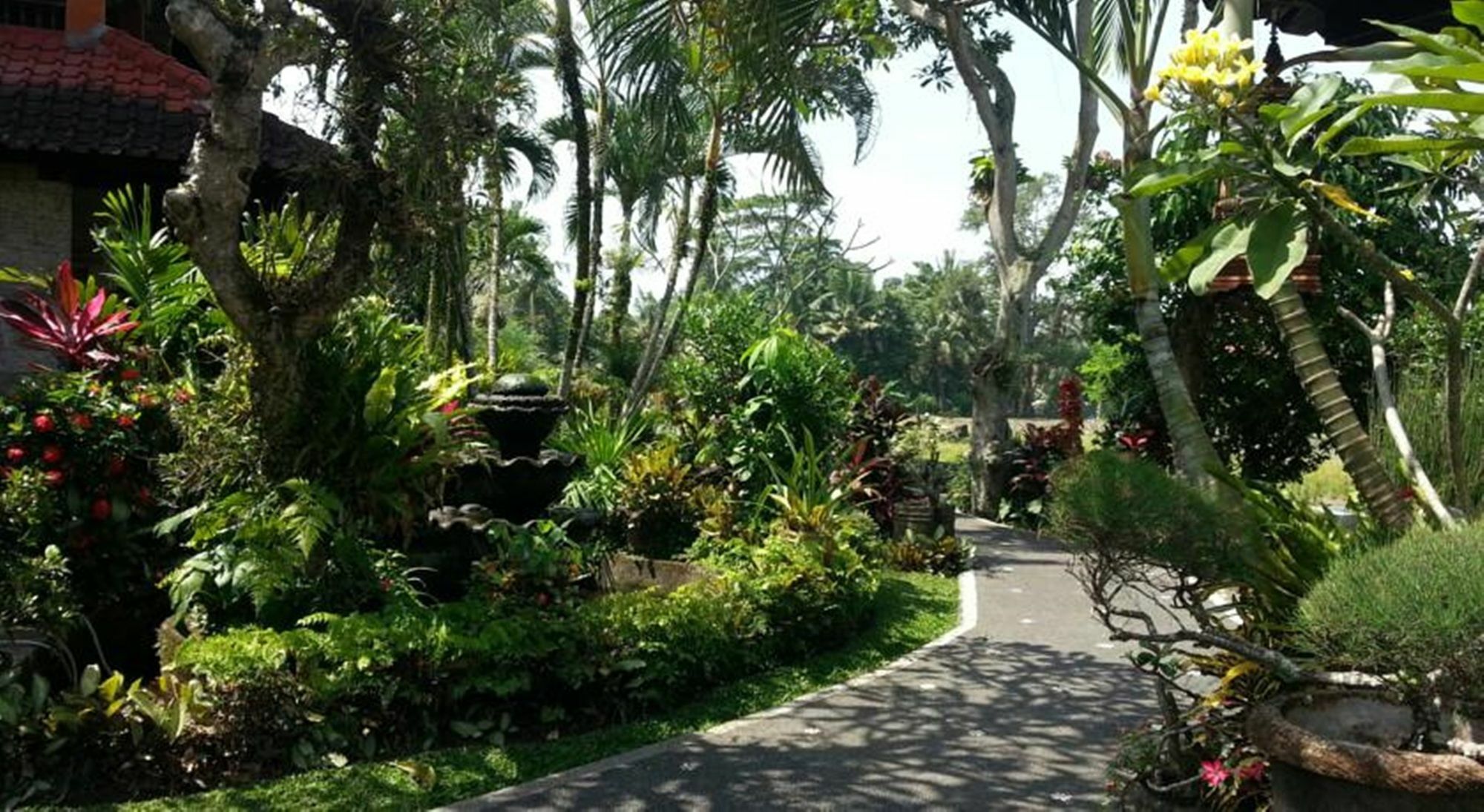 Cendana Resort&Spa Ubud Extérieur photo